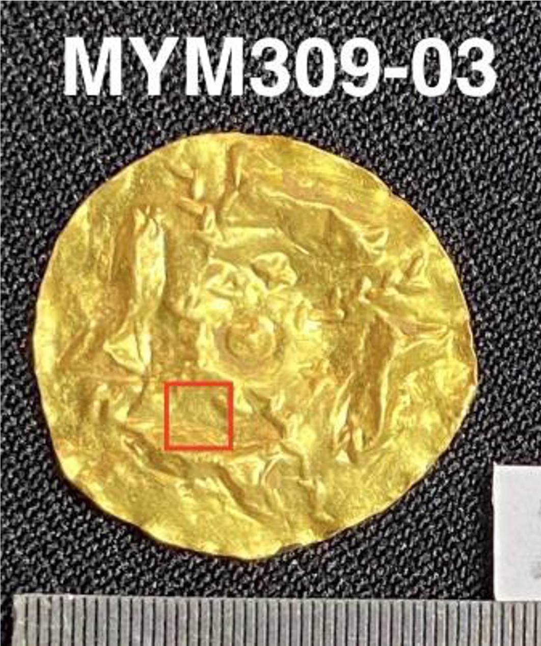 MYM309-03.jpg