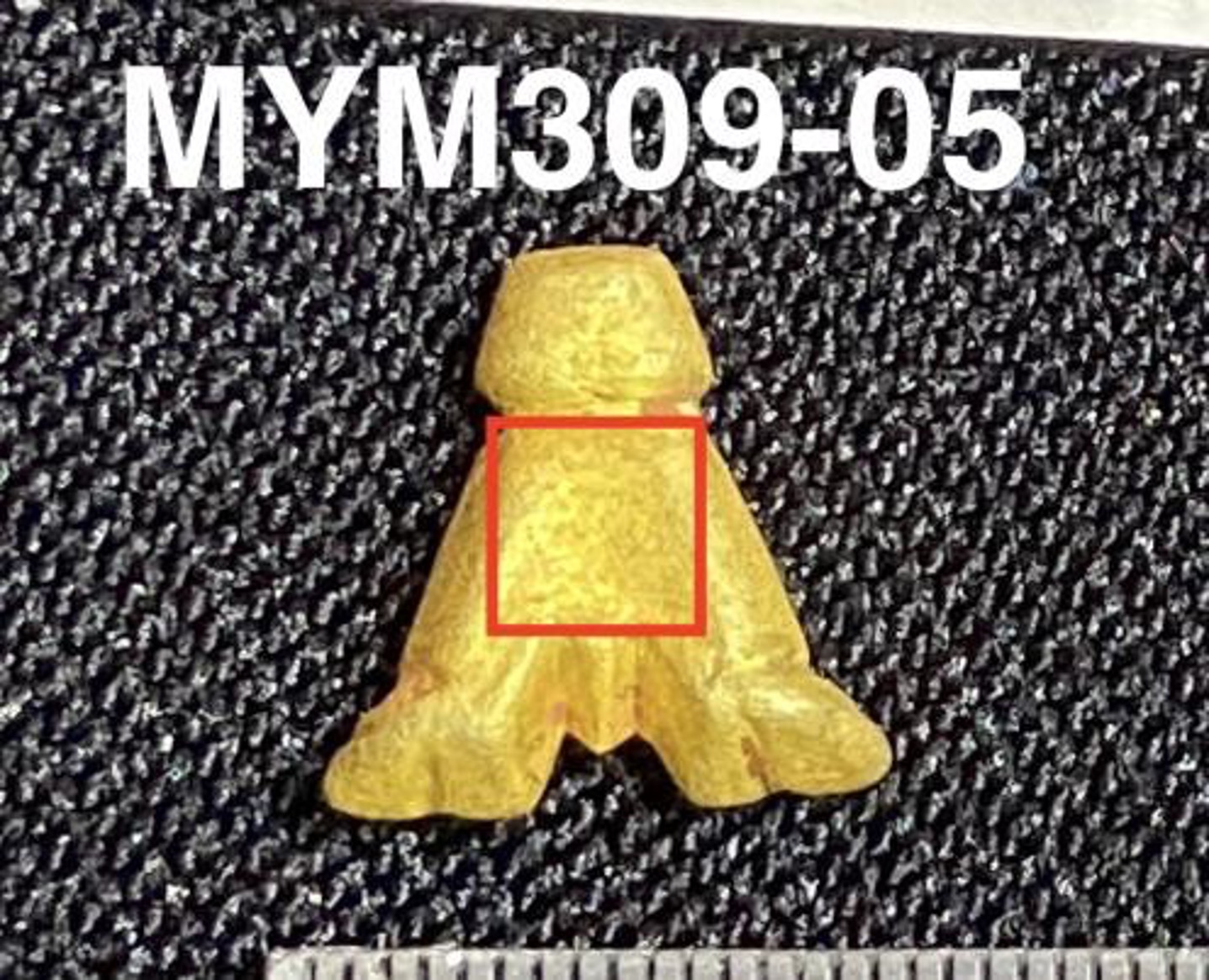 MYM309-05.jpg
