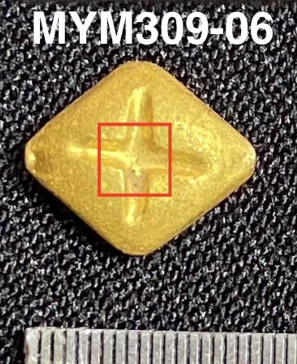 MYM309-06.jpg