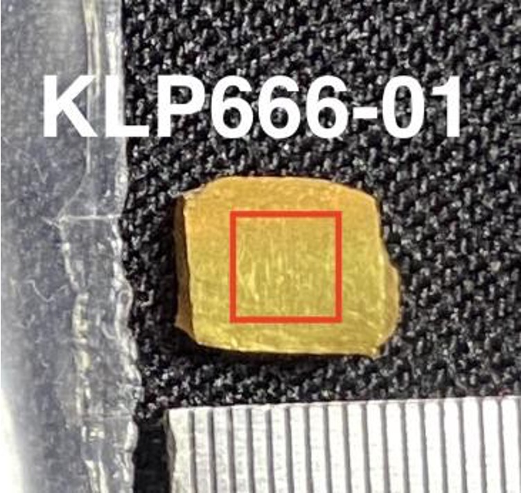 KLP666-01.jpg