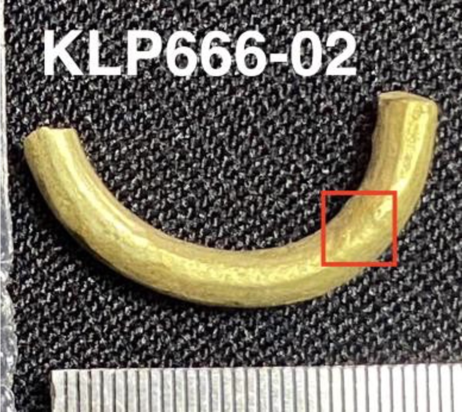 KLP666-02.jpg
