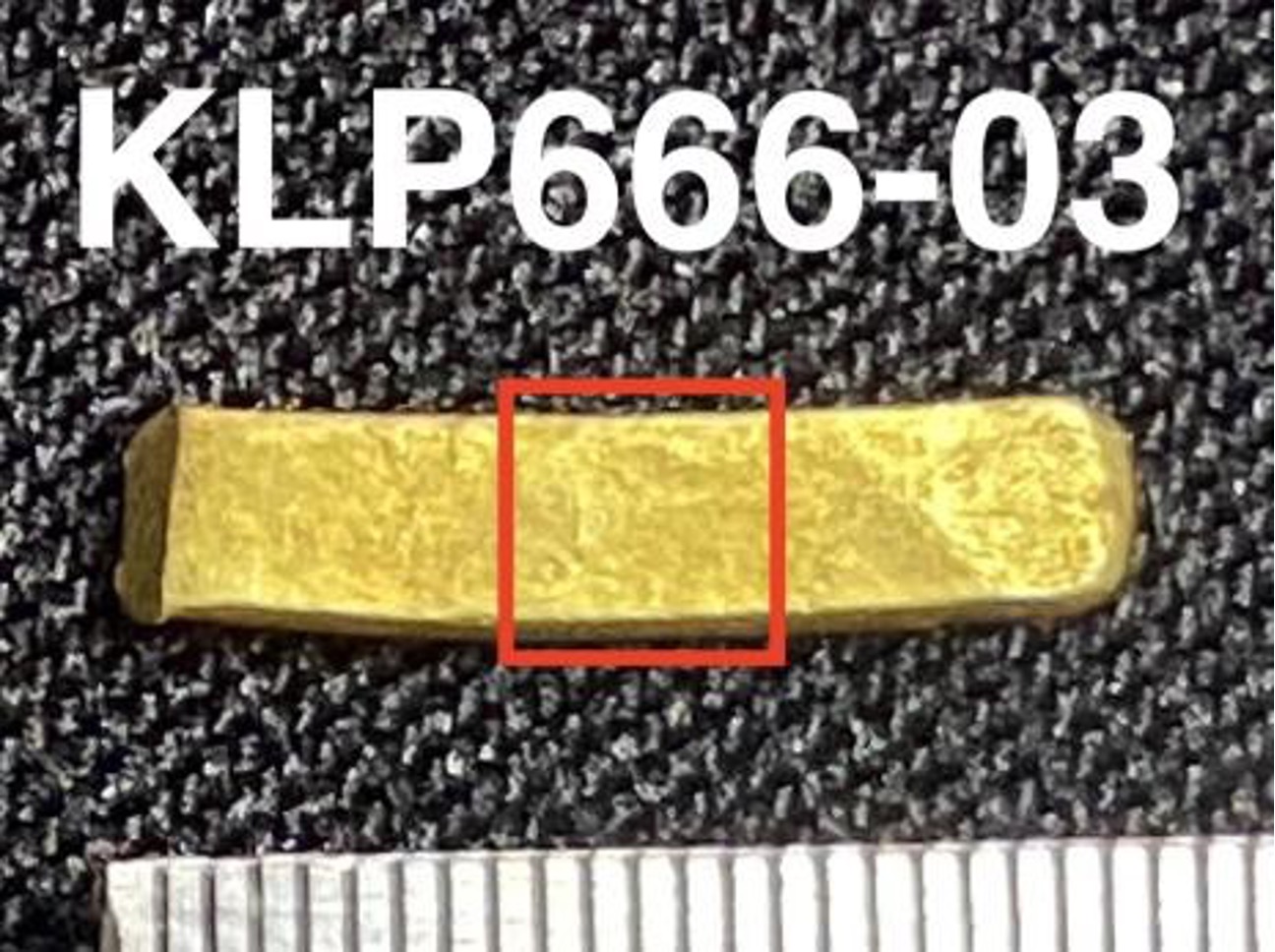 KLp666-03.jpg