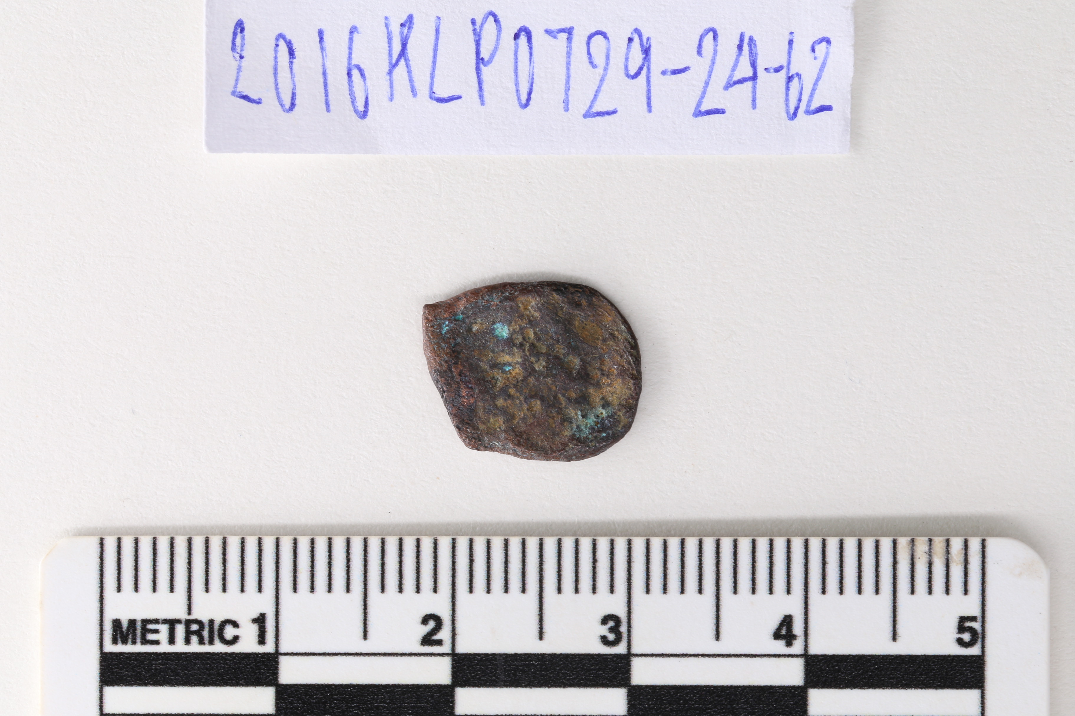 IMG_9578.JPG