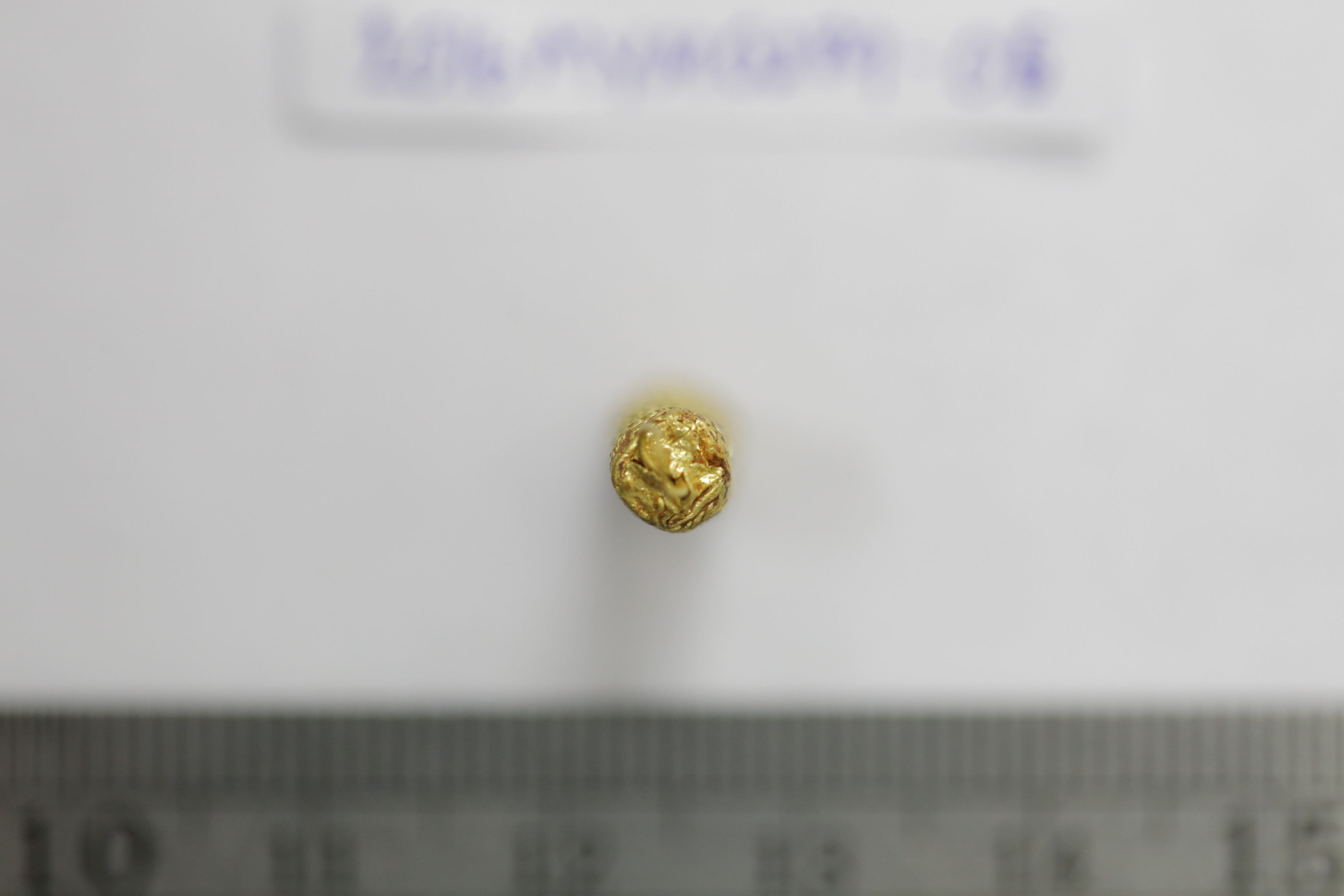 IMG_2119.JPG