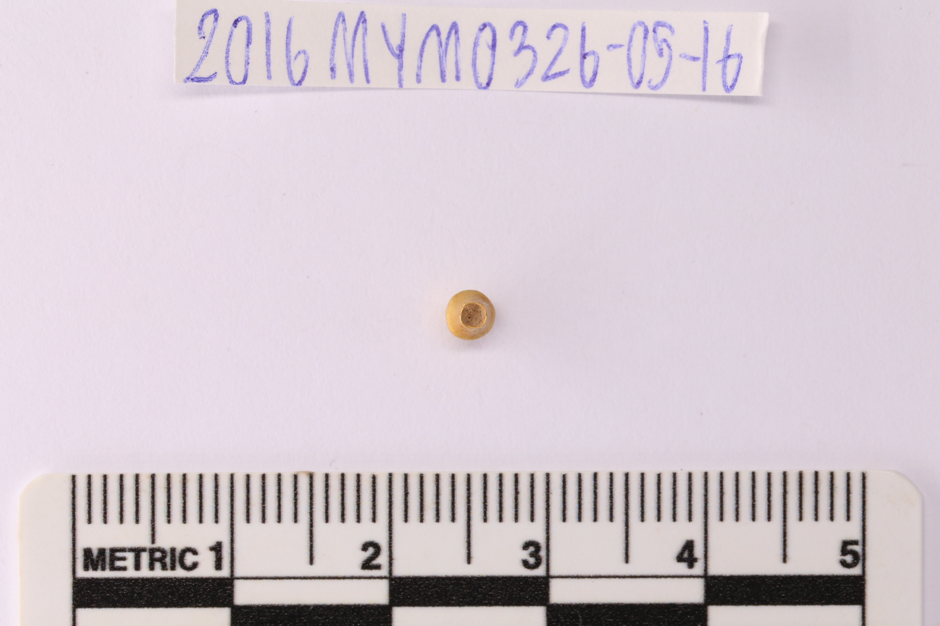 MYM0326_05.1.JPG