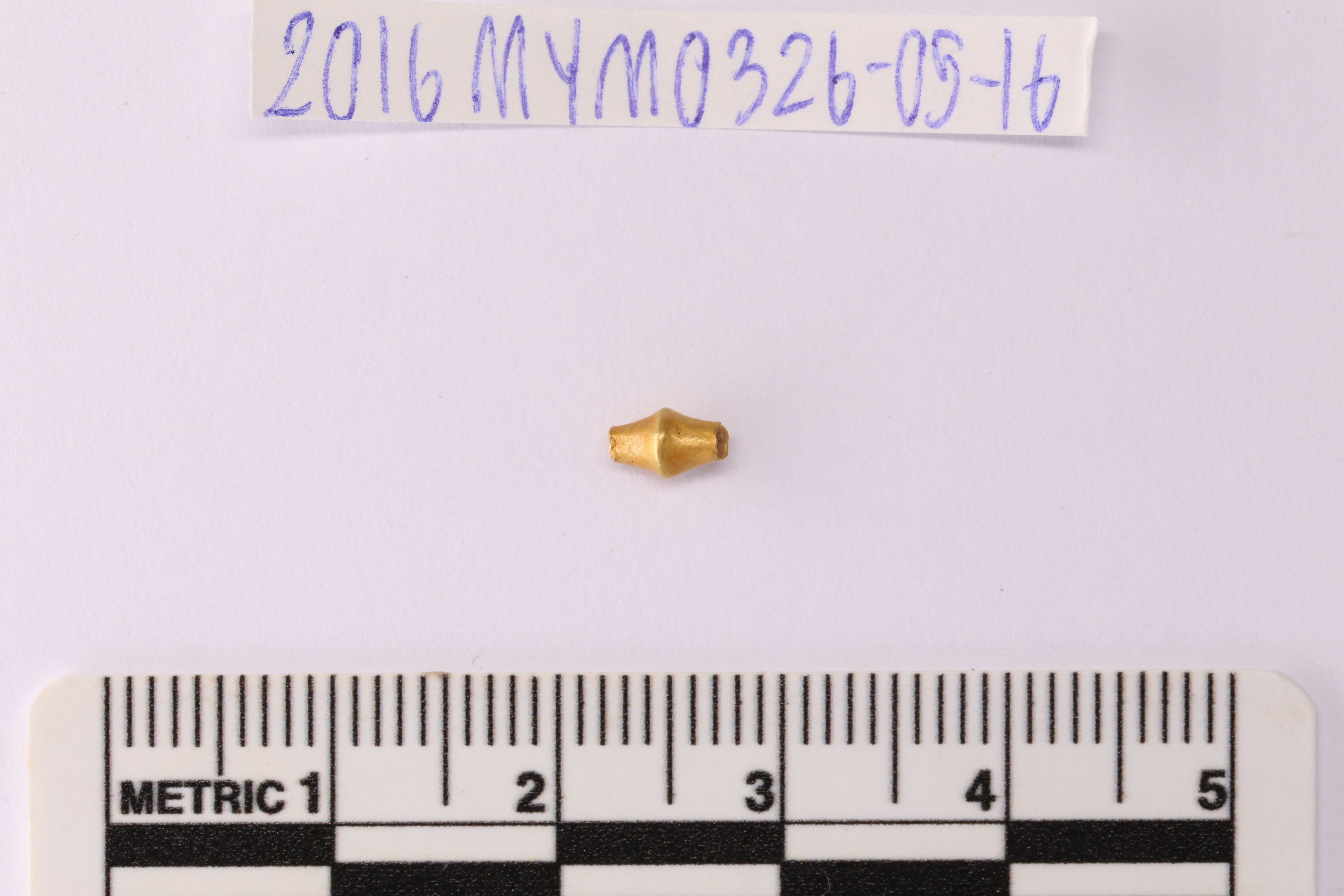 MYM0326_05.2.JPG