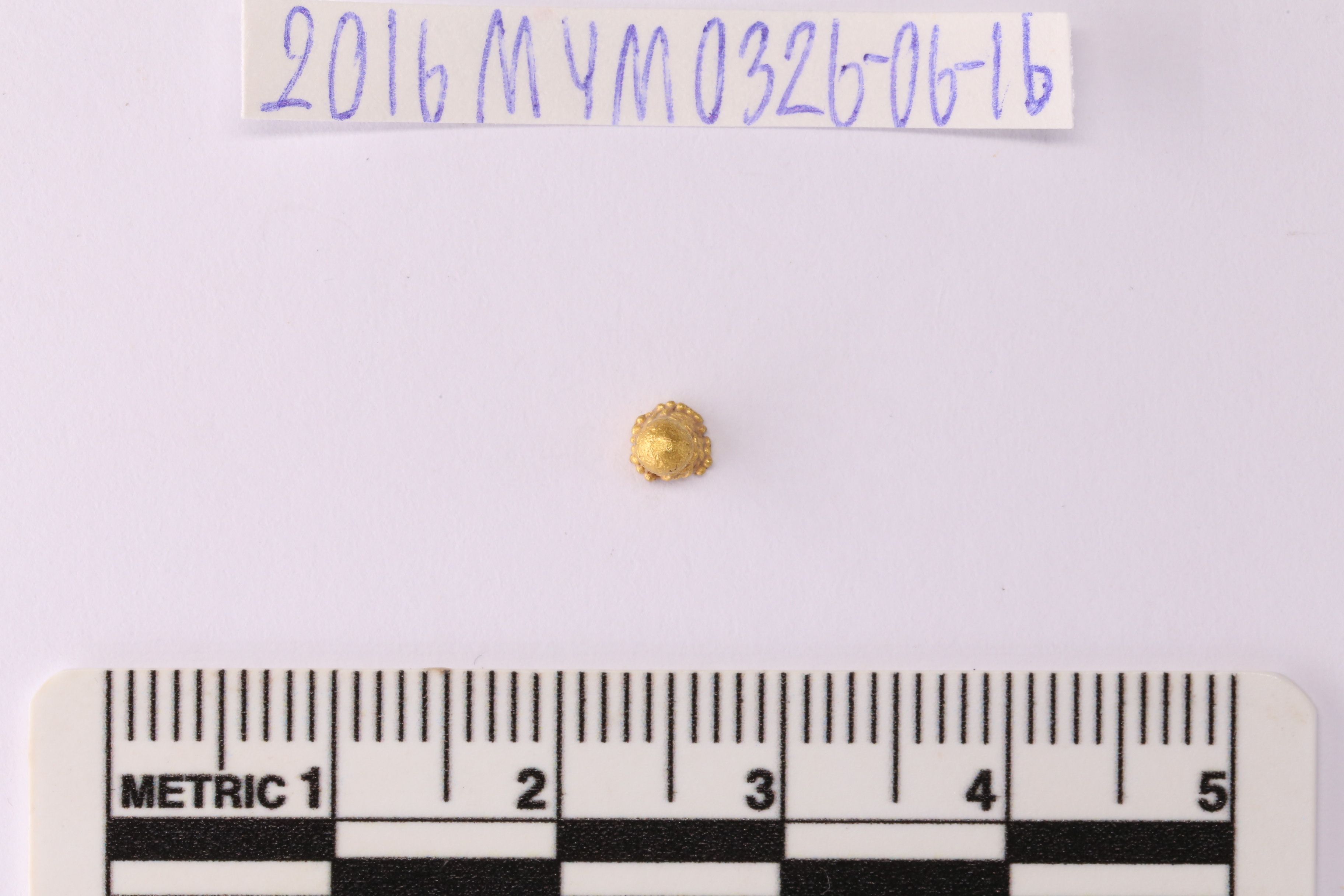 MYM0326_06.1.JPG