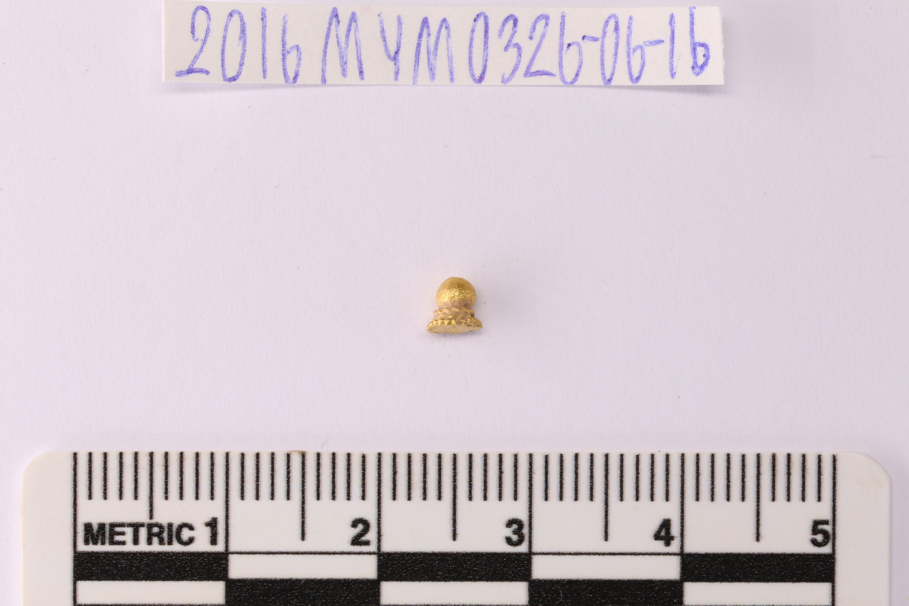 MYM0326_06.2.JPG