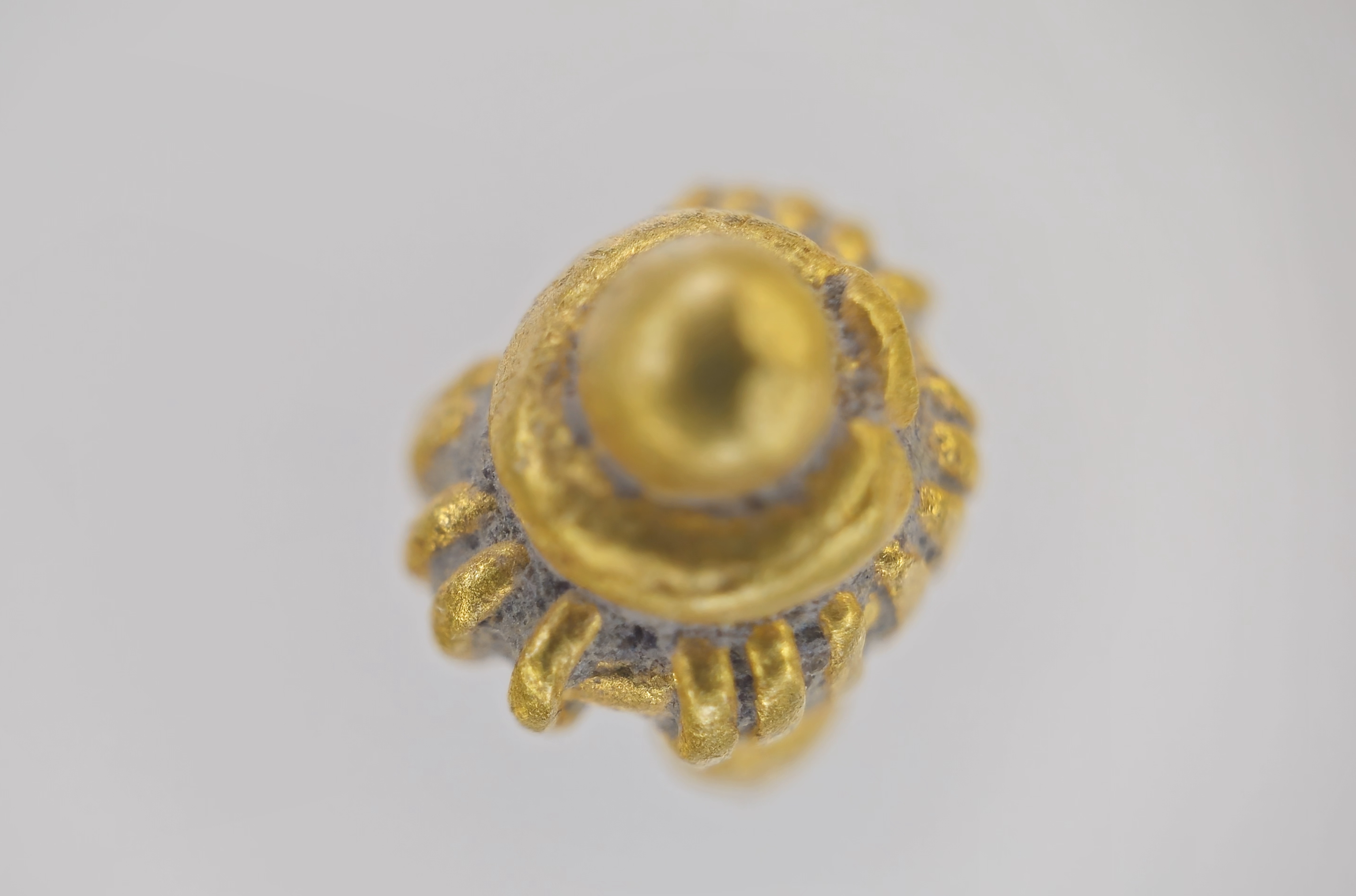 20240927_172044.jpg