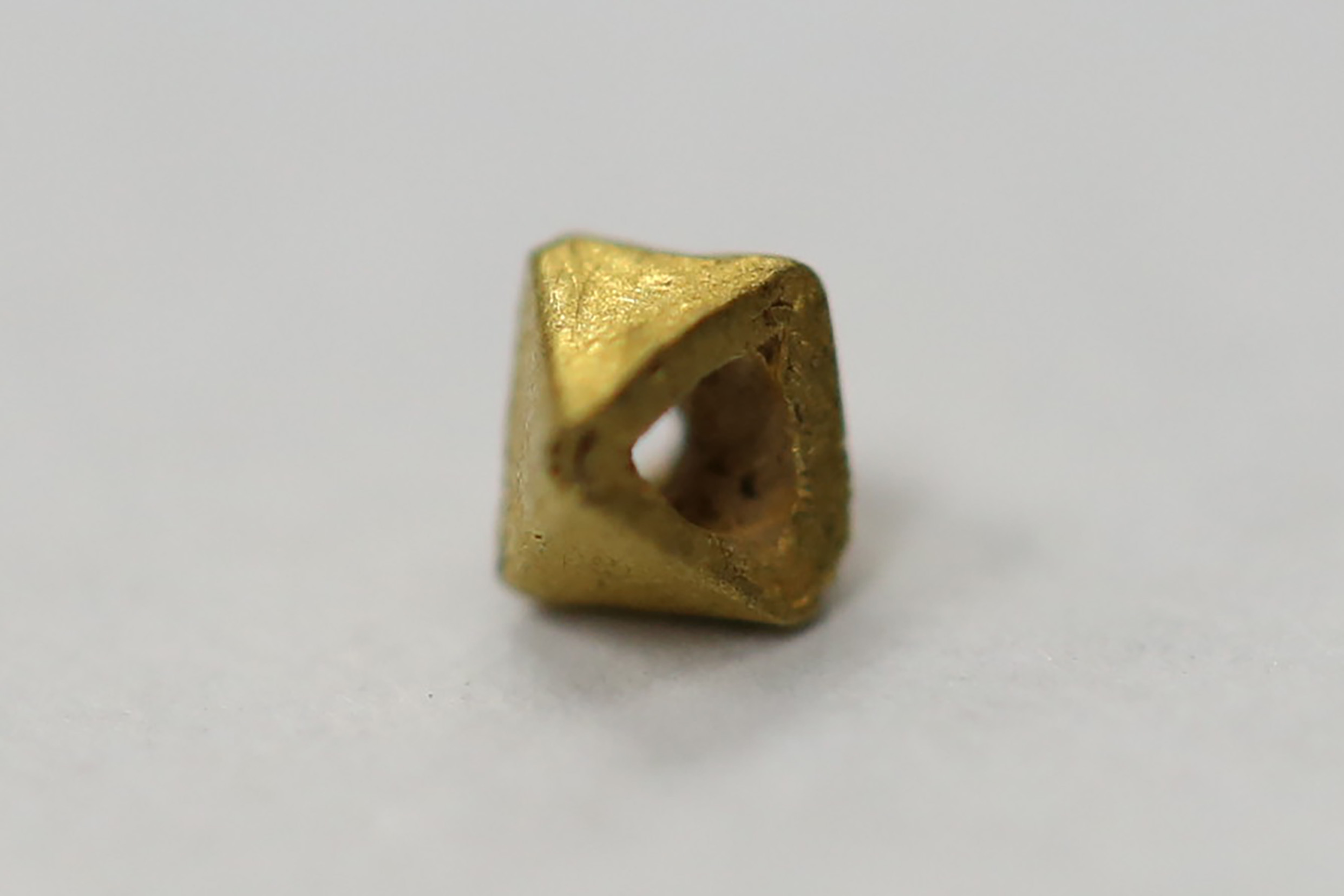 AIMG_2444.jpg