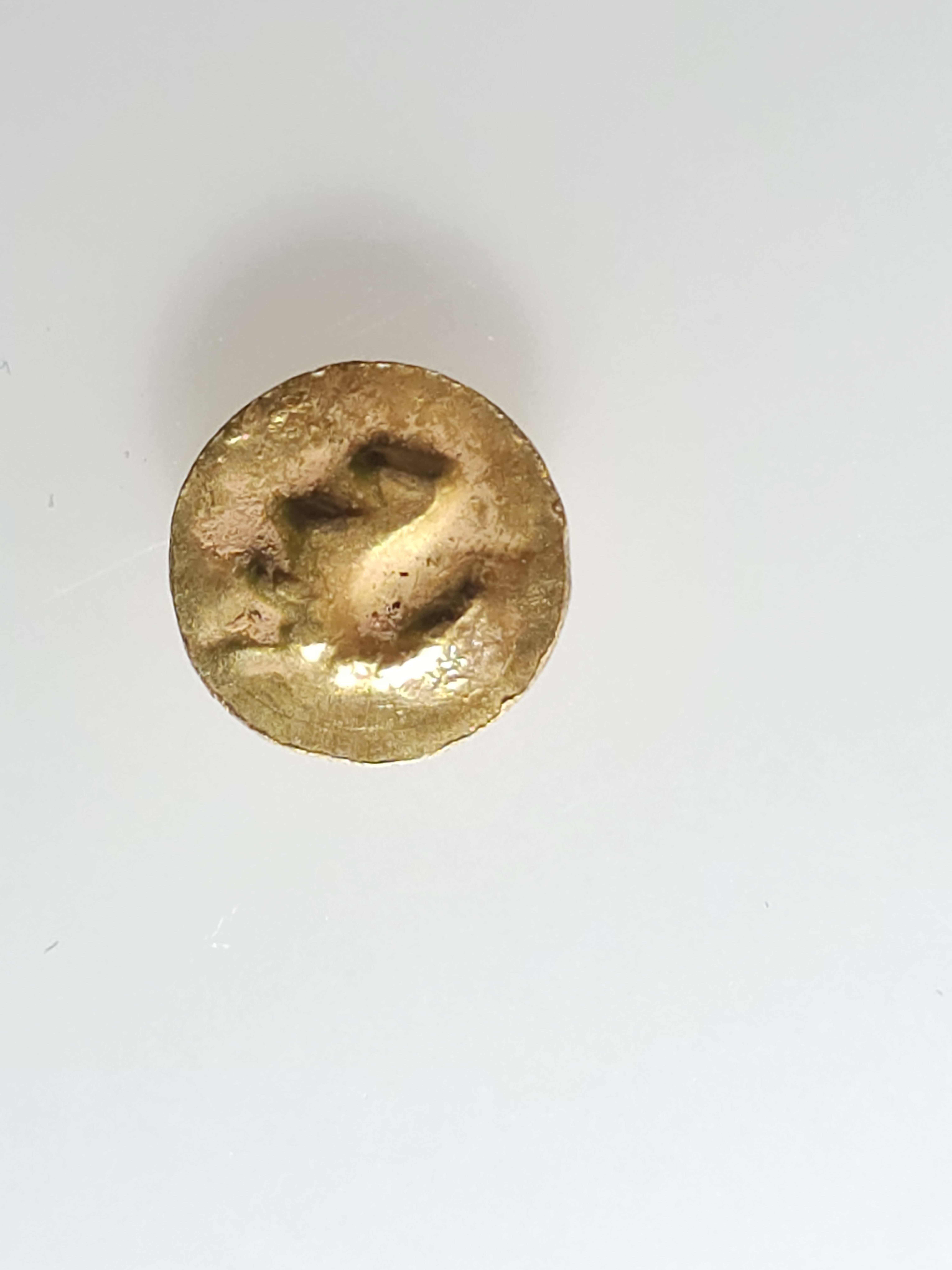 20240918_221409.jpg