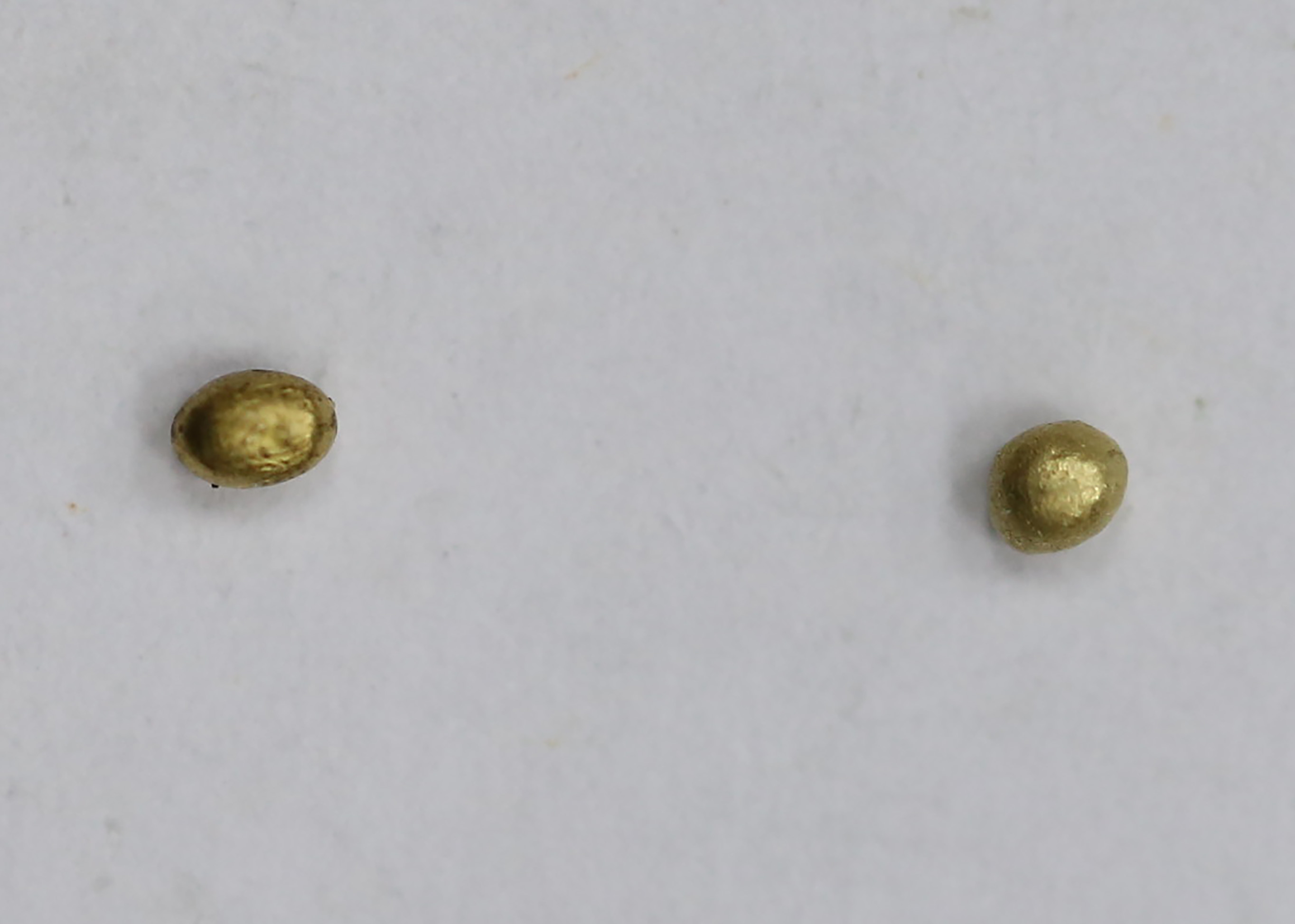 AIMG_2571.jpg