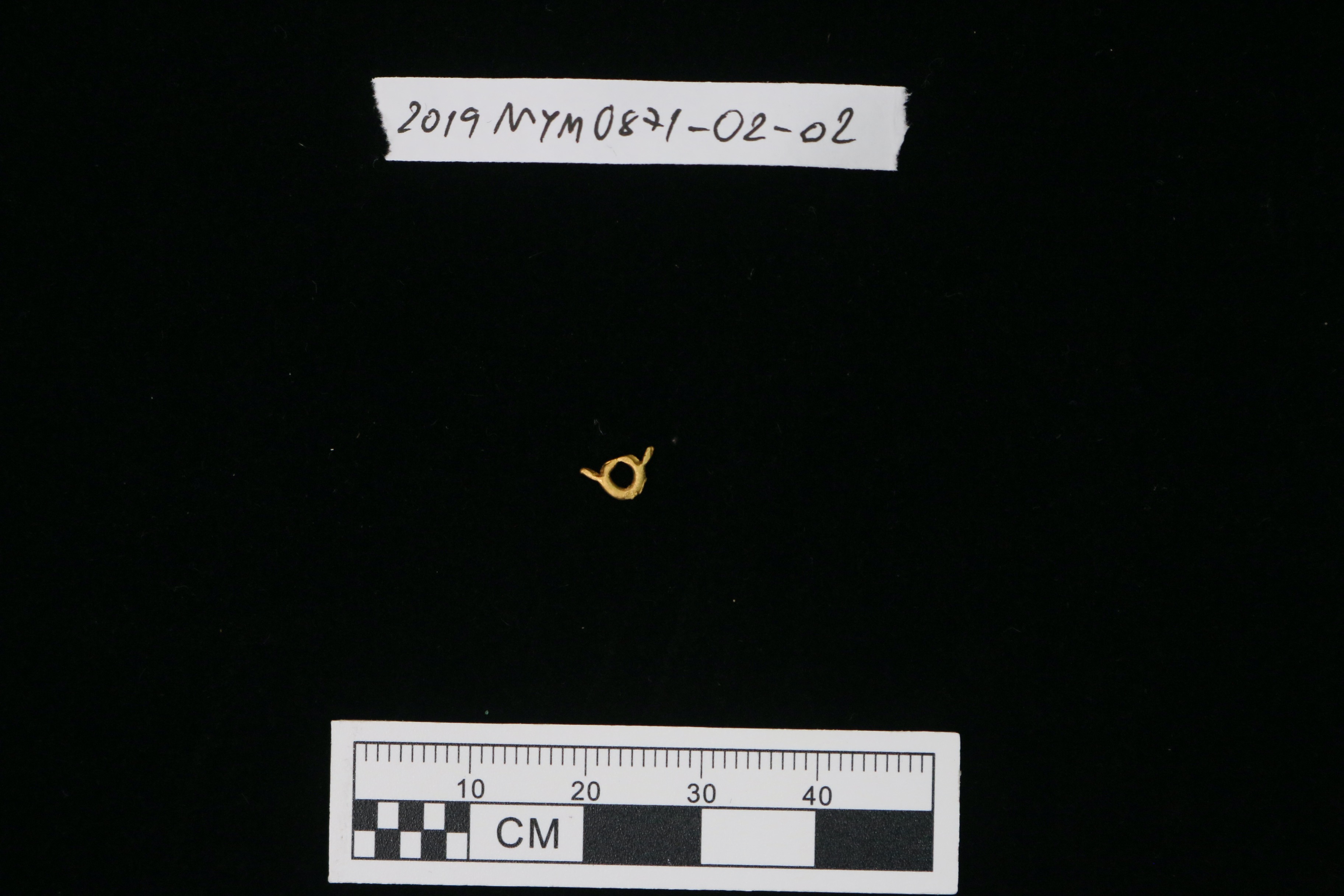 MYM0871-02.2.jpeg