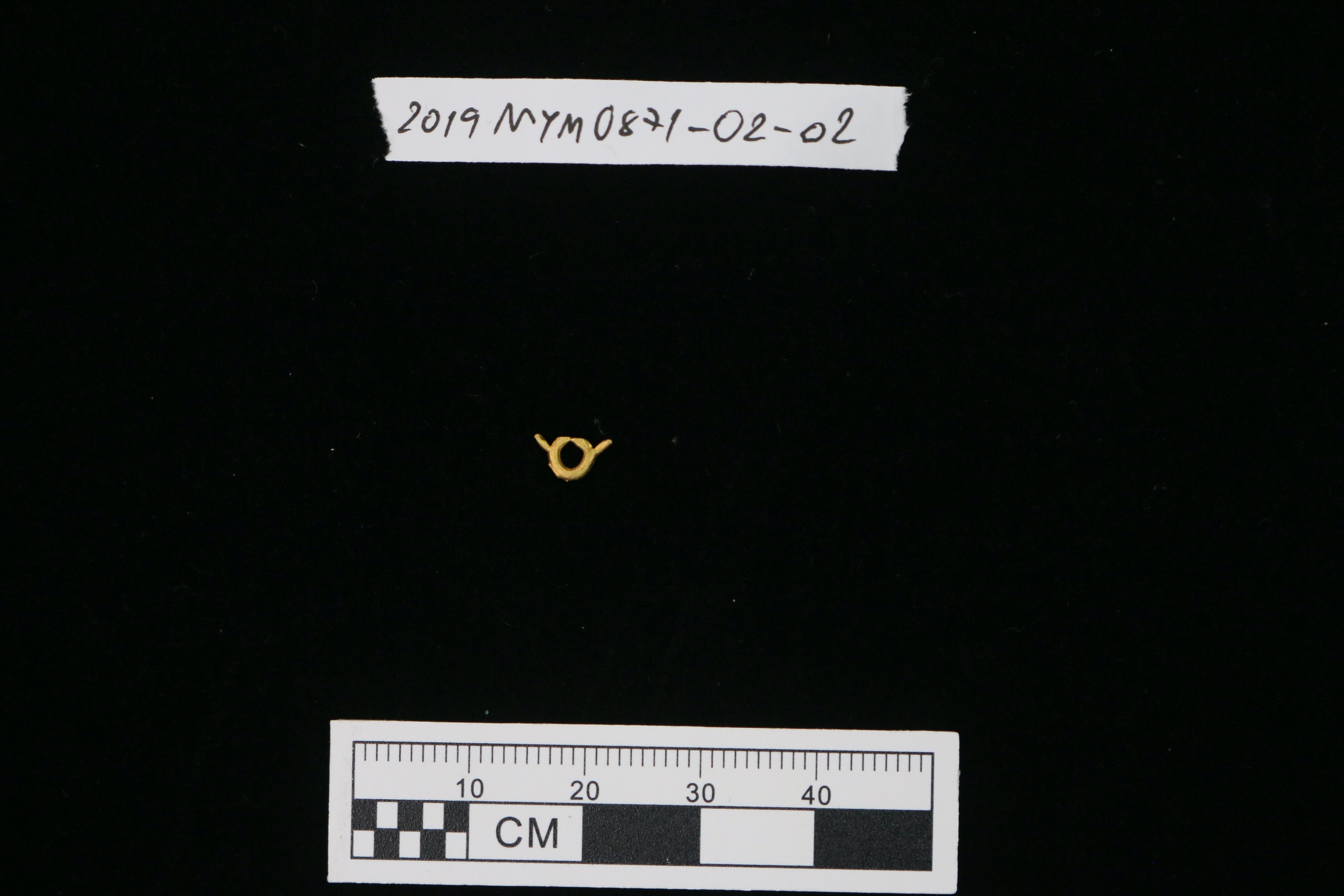 MYM0871-02.3.jpeg