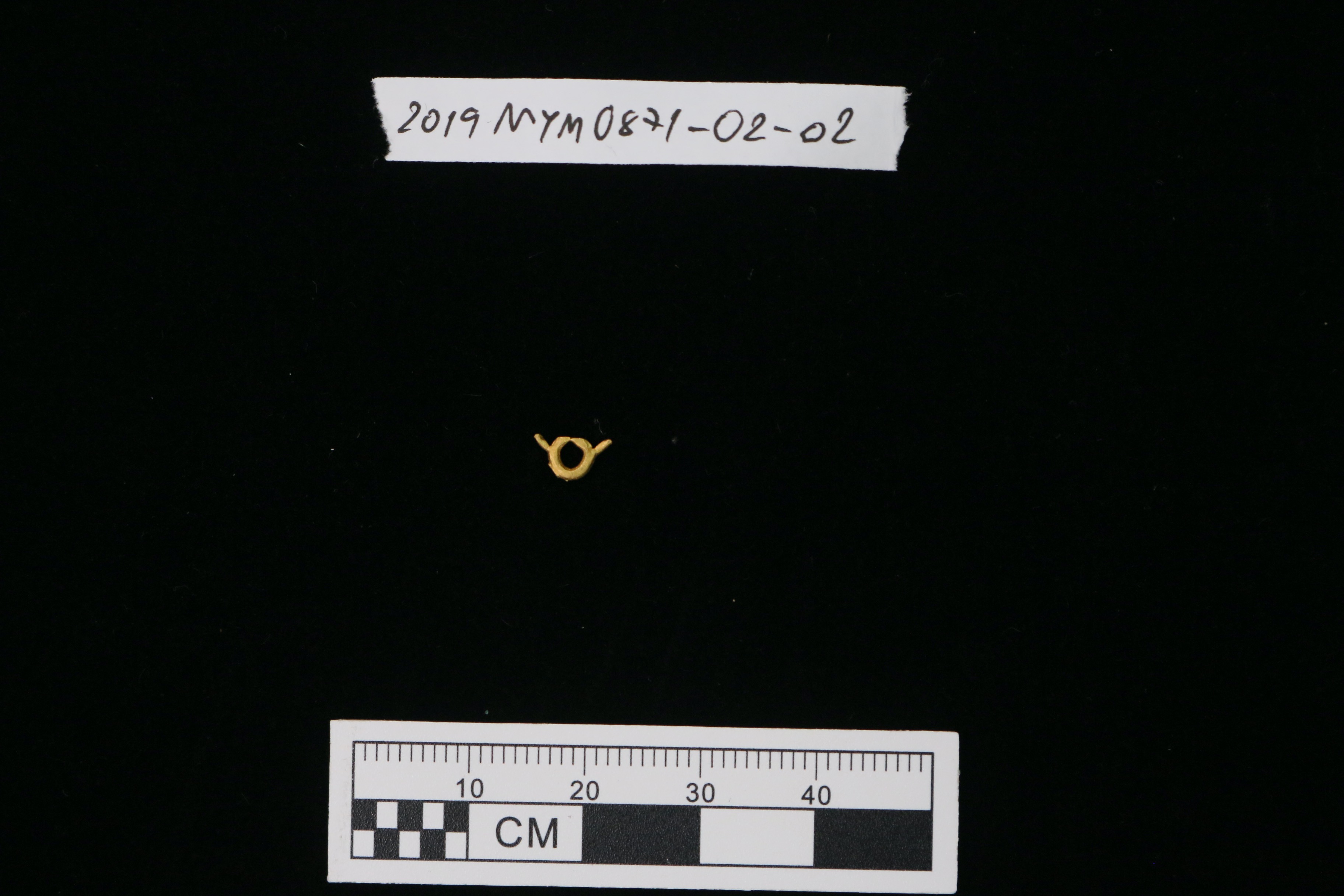 MYM0871-02.4.jpeg