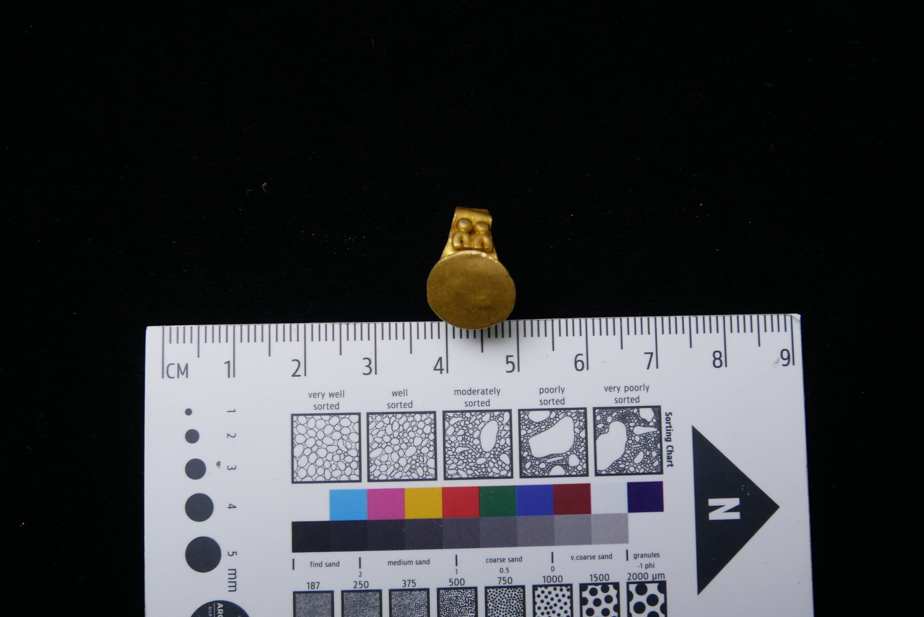 MYM0904-02.1.JPG