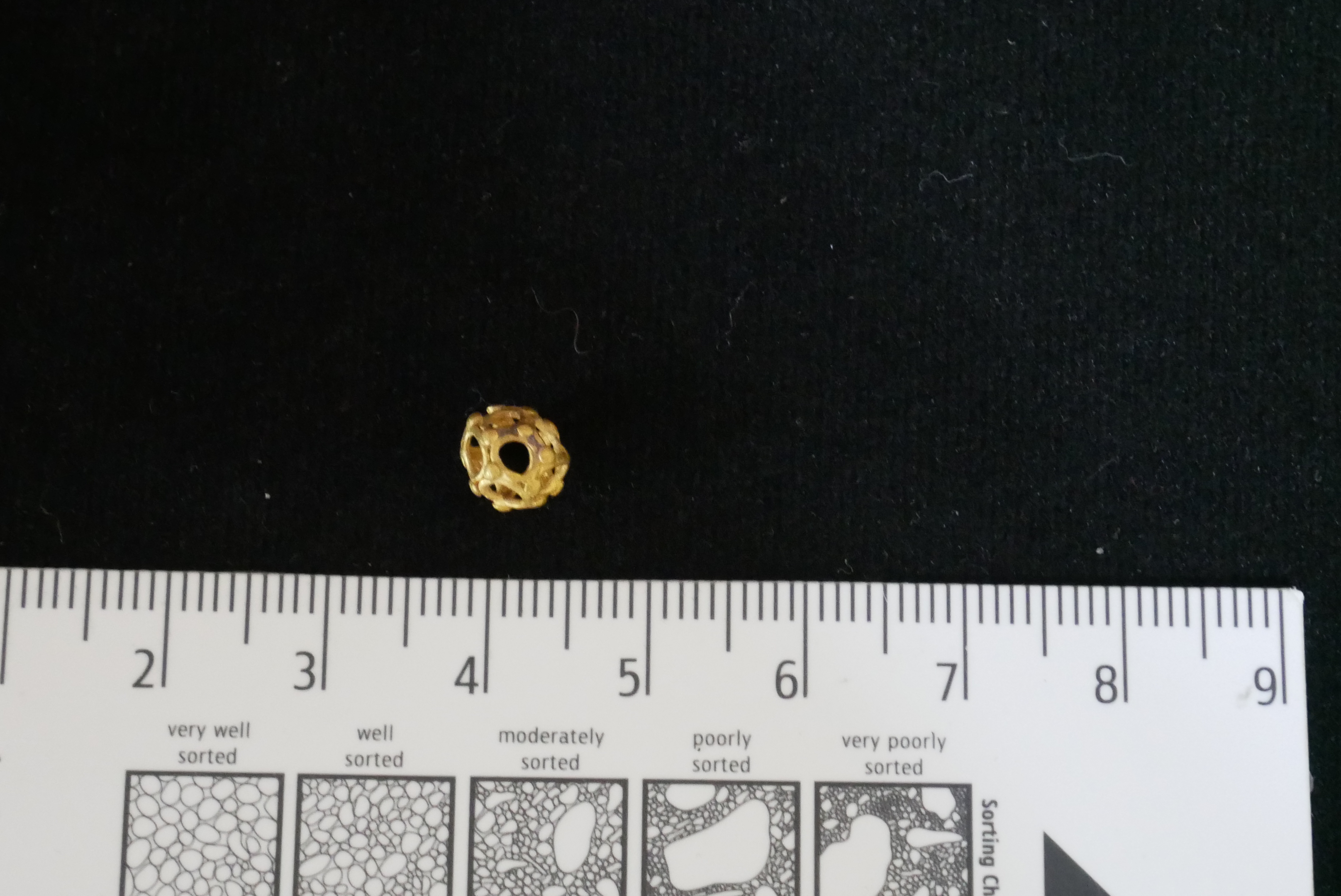 MYM1033-01.1.JPG