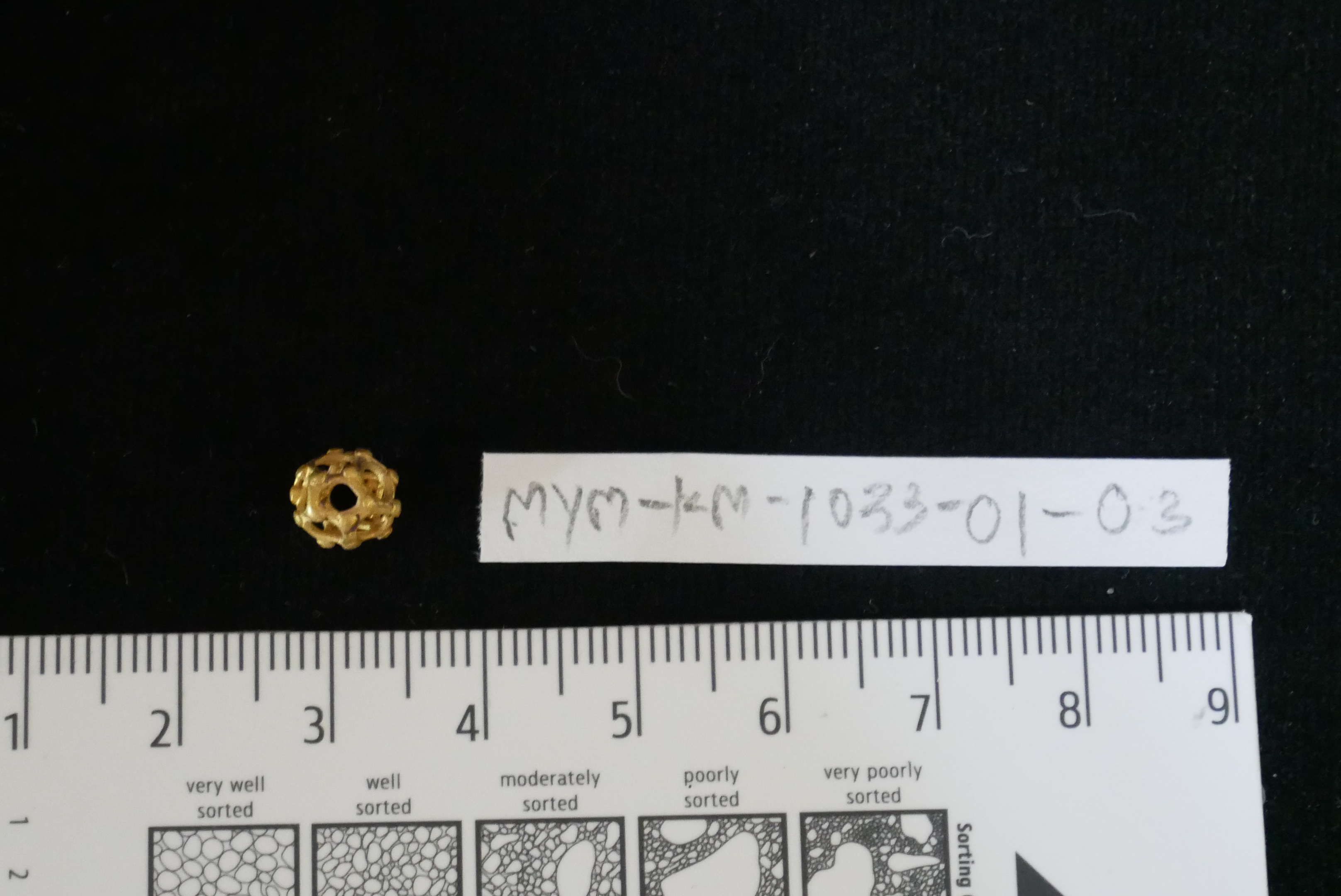 MYM1033-01.4.JPG