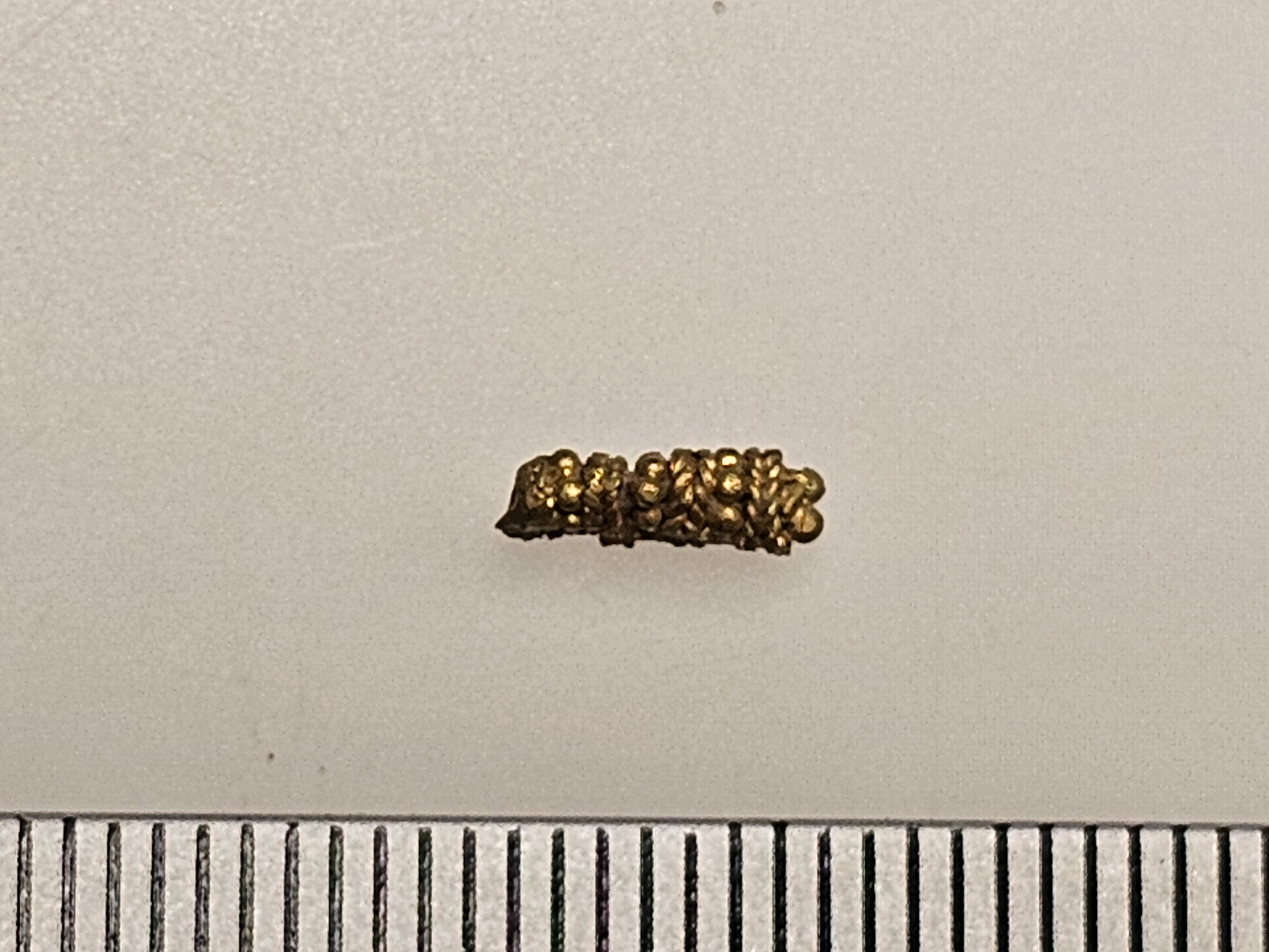 20241210_182611.jpg